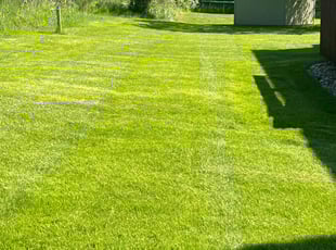 John L.'s lawn care services service result