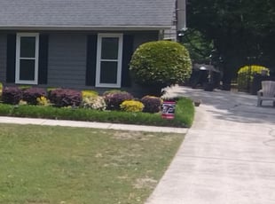 Hong N.'s Bush Trimming service result