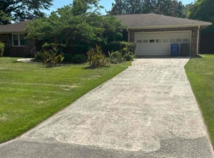 Josie P.'s turf care service result