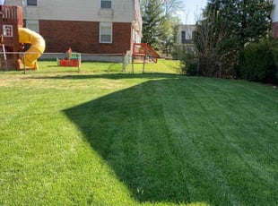Mike B.'s lawn service service result