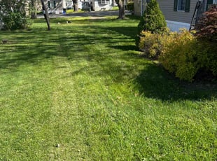 Giduk B.'s lawn care services service result