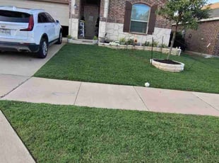 Mona S.'s lawn care services service result