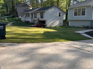 Elena C.'s lawn care services service result