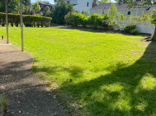 Jonathan P.'s lawn maintenance service result