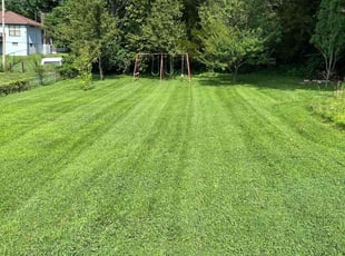 Mark K.'s turf maintenance service result