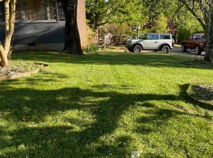 Ann A.'s turf maintenance service result
