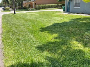 Susan C.'s lawn care services service result