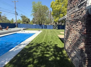 Patricia N.'s grass maintenance service result