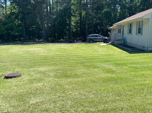 Cory C.'s grass maintenance service result