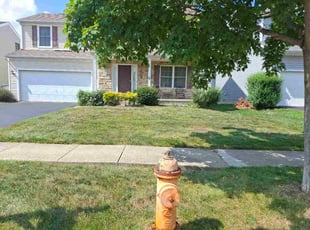 Jason E.'s lawn care services service result