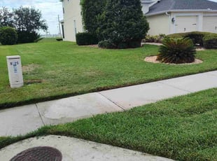 Rebecca T.'s lawn service service result
