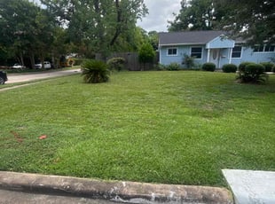 Patsy T.'s lawn care services service result