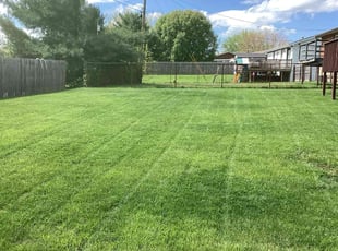 Calvin A.'s grass cutting service result