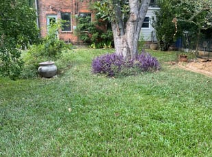 Shirley K.'s lawn service service result