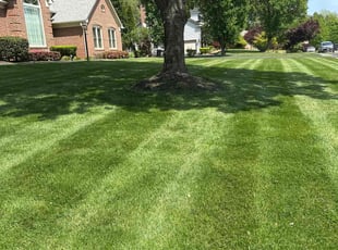 Michael F.'s lawn service service result