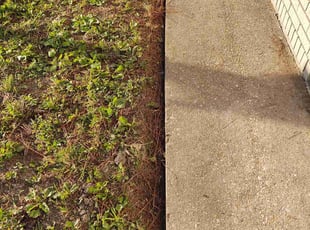 Jerry W.'s grass cutting service result