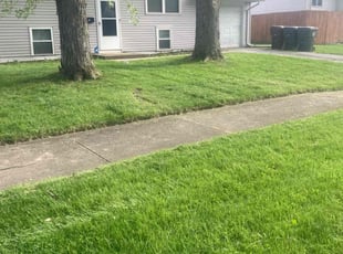 Alexandra P.'s grass maintenance service result