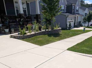 Rita R.'s lawn care services service result