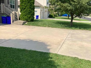 Ryia G.'s grass cutting service result