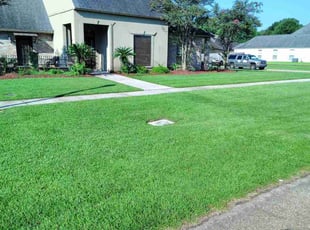 Kimberly B.'s grass maintenance service result