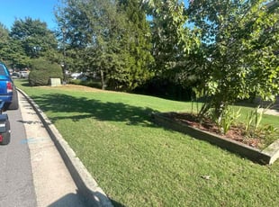 Tecia W.'s turf care service result