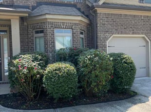 Sharonda W.'s Bush Trimming service result