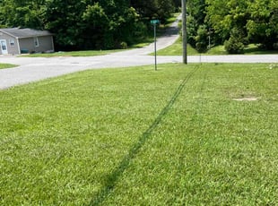 Douglas O.'s turf care service result
