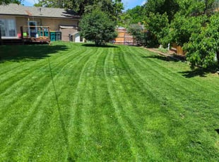 Sarah S.'s lawn maintenance service result
