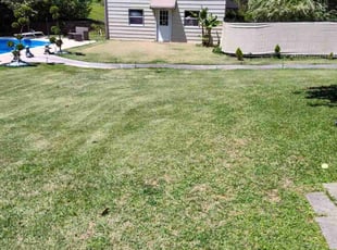Tammy S.'s lawn care service result