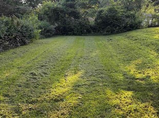 Laqunda W.'s grass maintenance service result