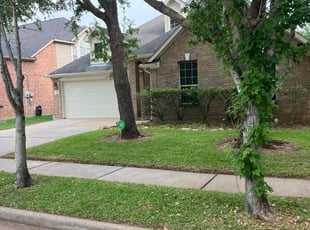 Omar S.'s lawn service service result