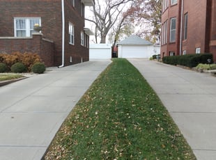 Michael B.'s Leaf Removal service result