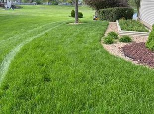 Jazzman S.'s lawn care services service result