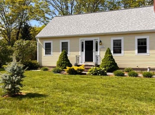 Don S.'s grass cutting service result