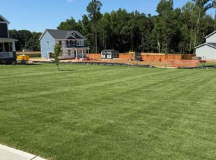 Linh C.'s lawn care services service result
