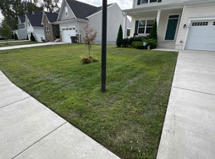 Annette B.'s lawn care service result