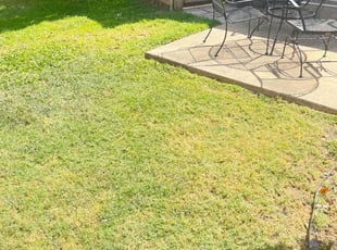 Angela H.'s lawn service service result