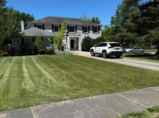 Brian/Brita B.'s grass cutting service result