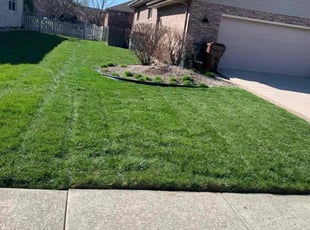 Ava S.'s lawn service service result