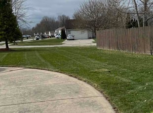 Shay S.'s grass cutting service result