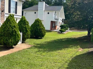 Jay D.'s lawn service service result