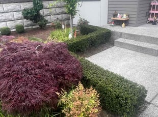 Vishnu V.'s Bush Trimming service result