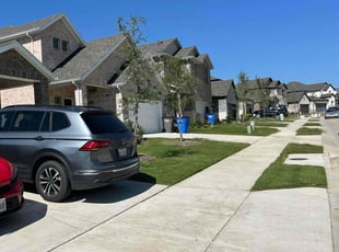 Chelsea S.'s landscaping service result