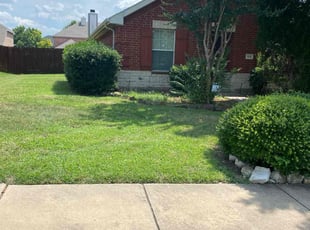 Brian L.'s grass maintenance service result