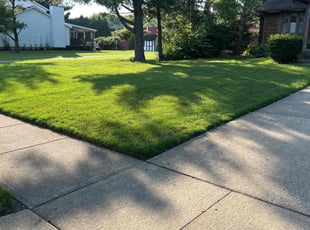 Julie C.'s grass cutting service result
