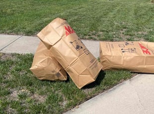 Ginger H.'s Bush Trimming service result