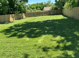Sandra N.'s yard maintenance service result