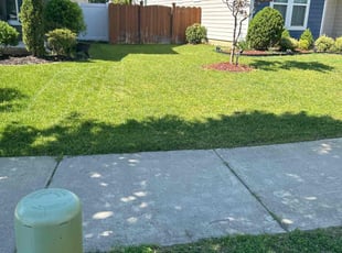 Katelyn M.'s lawn maintenance service result