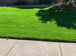 Jamol S.'s lawn care services service result