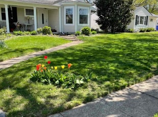 Gregory G.'s lawn service service result